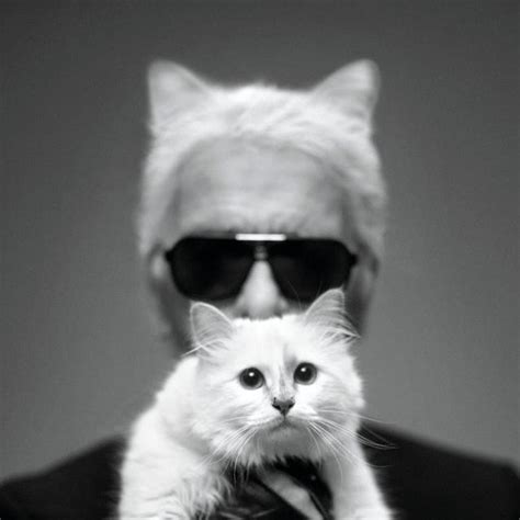 Everything to Know About Karl Lagerfeld's Chic Cat, Choupette